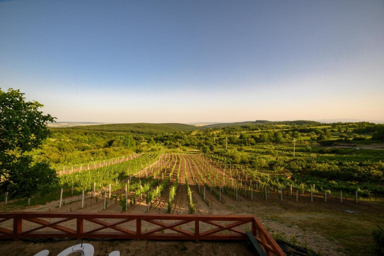 Edelin Wine House Апартаменти Edeleny